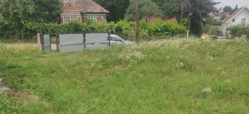 Будинок з ділянкою Товсте