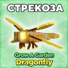 Продам стрекозу | Grow a Garden Roblox
