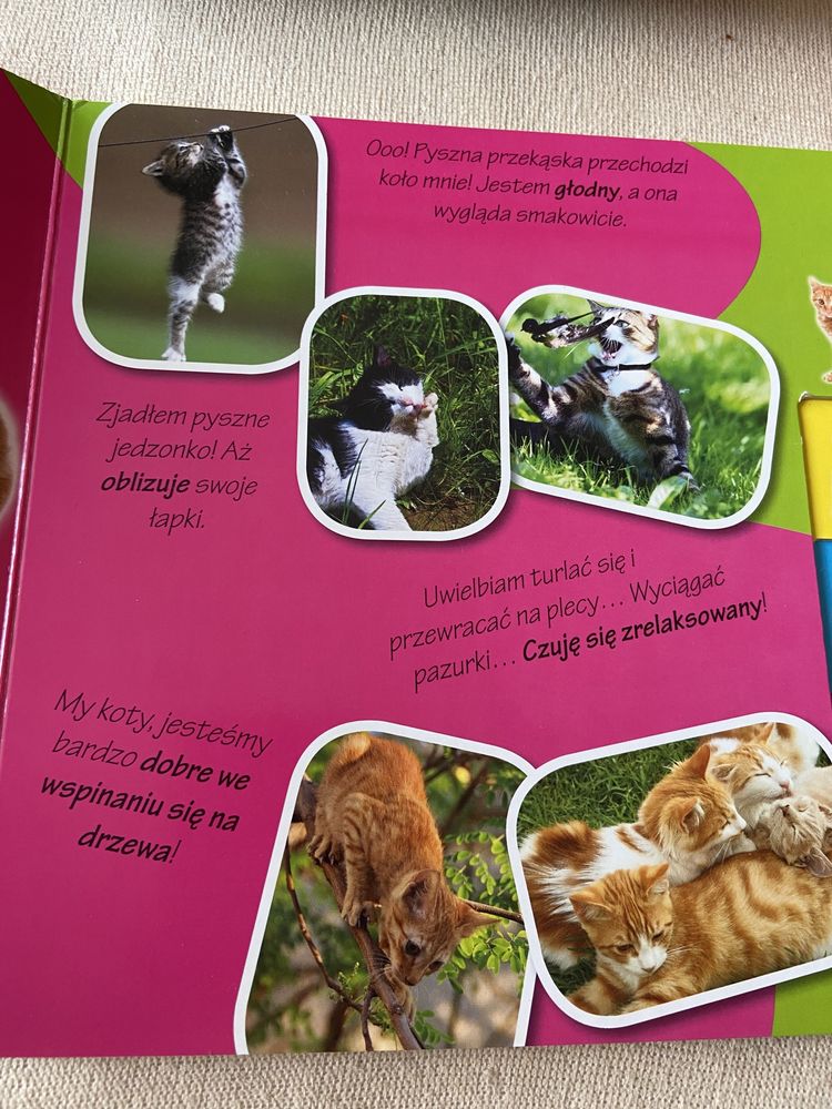 Książka dla dzieci Zwierzęta domowe