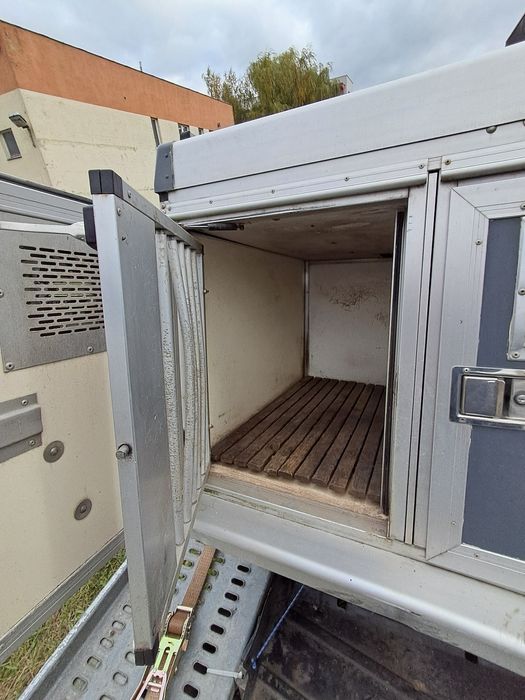 Przyczepka transportu 3 psów