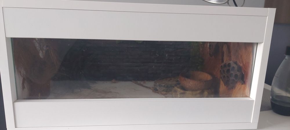 Terrarium dla  żółwia ladowego