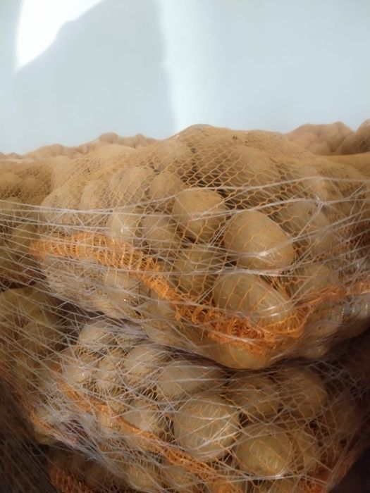 Ziemniaki od producenta 0,8zł/kg transport w cenie