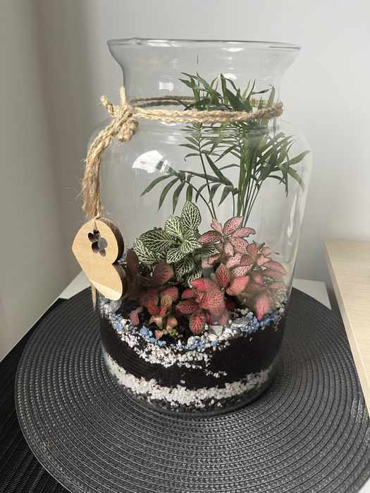 Las w szkle / Las w słoiku