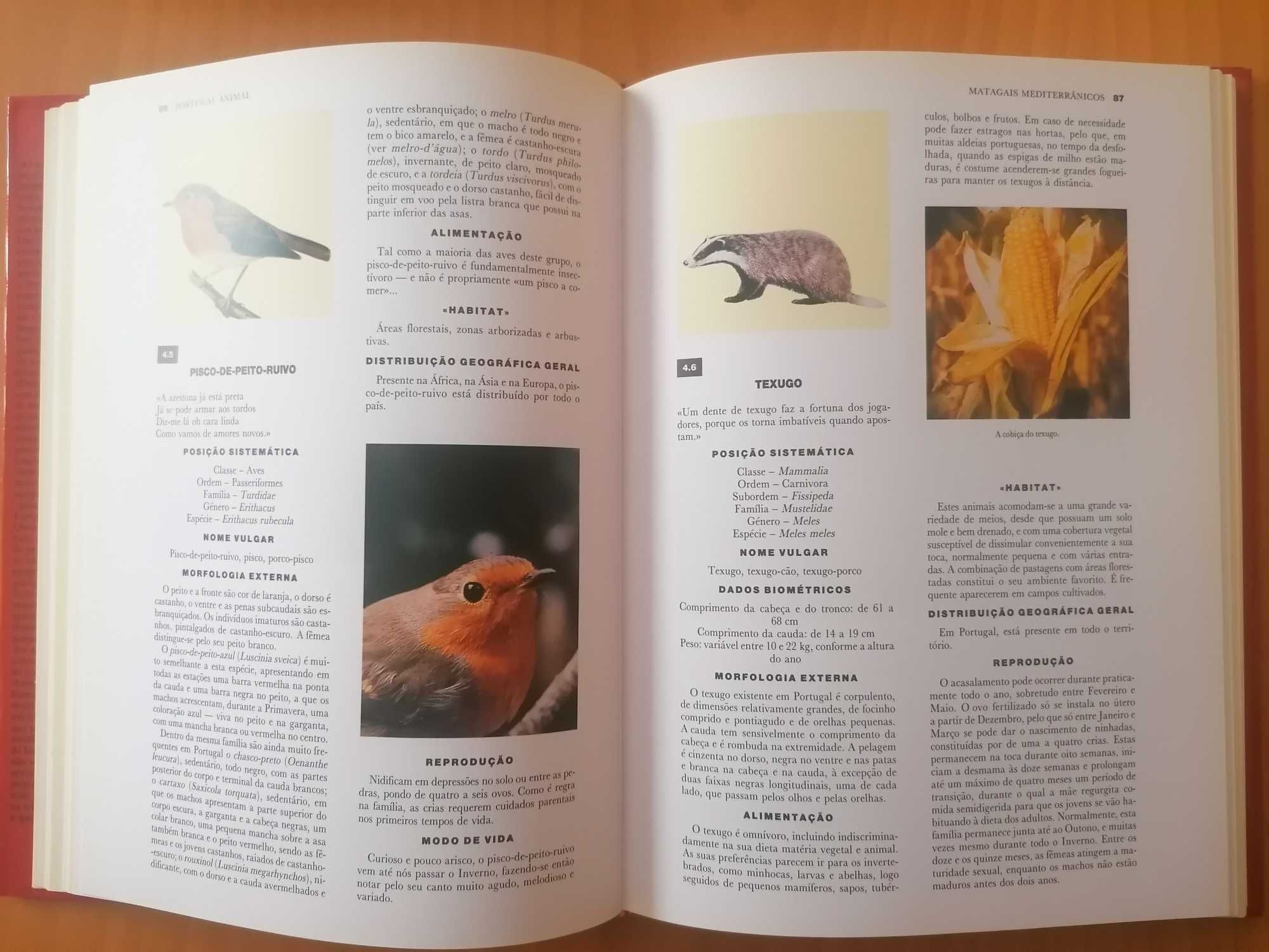 Portugal Animal // Clara Pinto Correia/António José Cidadão
