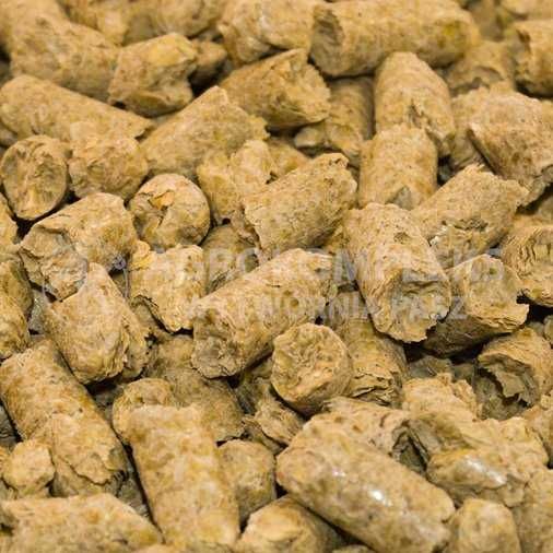 Śruta sojowa, rzepakowa, słonecznikowa, wysłodki, łuska sojowa, makuch