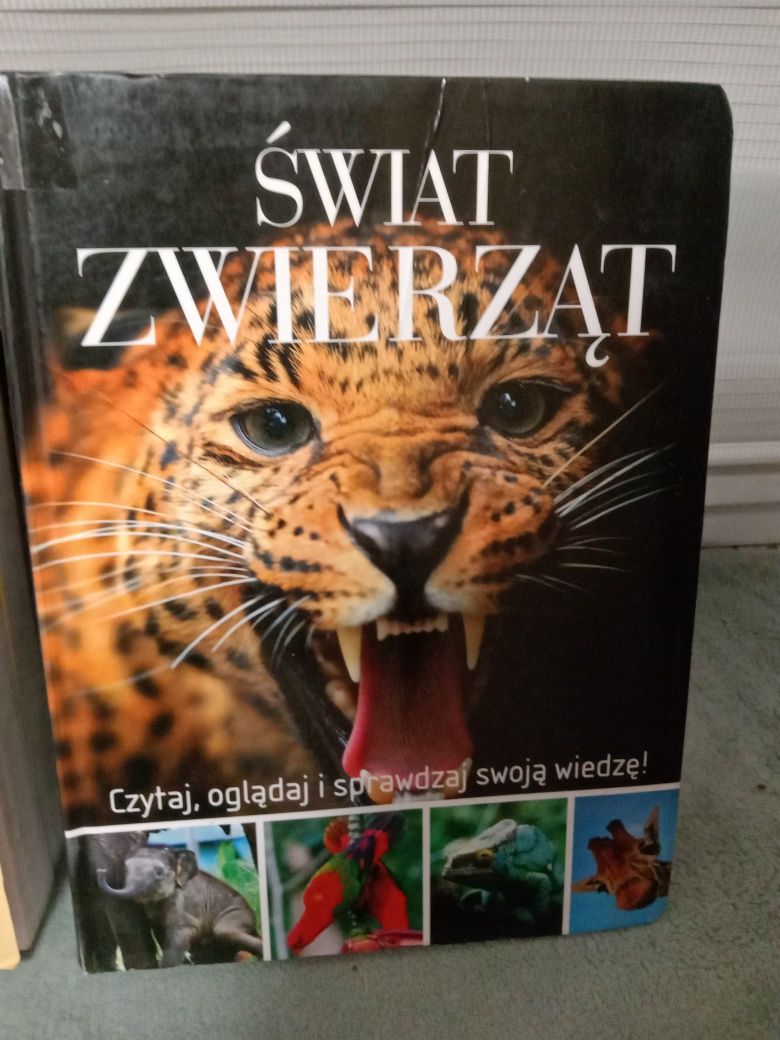 Świat zwierząt , Olesiejuk.