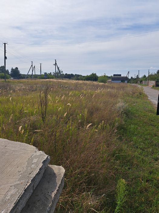 Участок Боромыки на берегу Десны