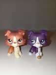 Figurki lps pop collie