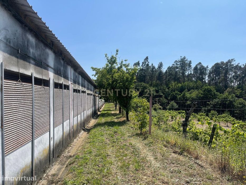 Terreno de 7.500 m² situado próximo ao lago, contendo uma casa a ser r