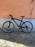 Rower MTB shimano dartmoor