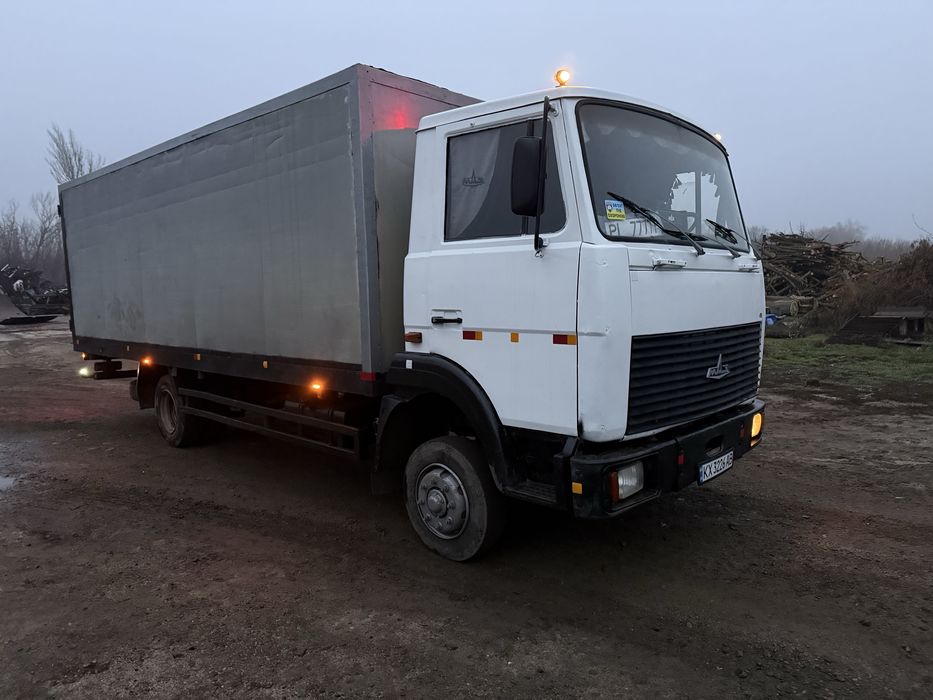 Продам Маз зубрёнок