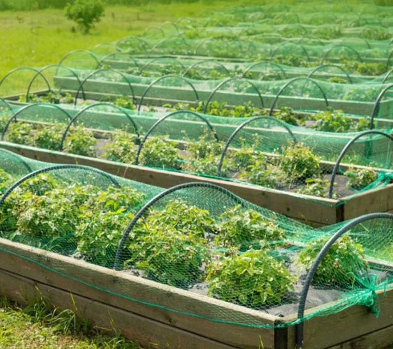 2 KOMPLETY / 4 X 6m / Siatka OCHRONNA  przeciwko kotom, kunom, ptakom,