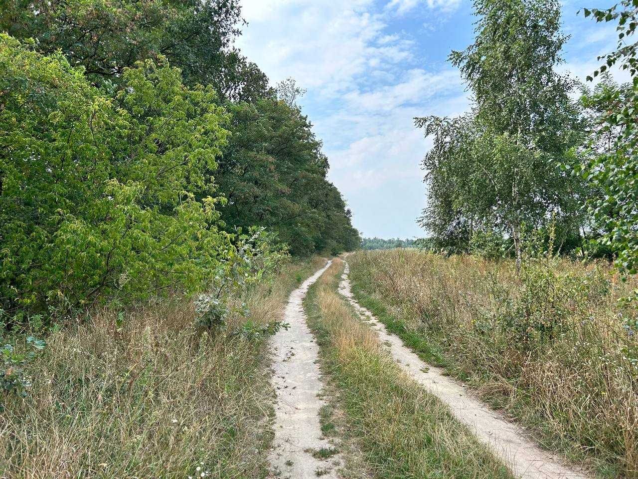 Продам земельну ділянку в с. Озера, Київська область, вул Шевченка