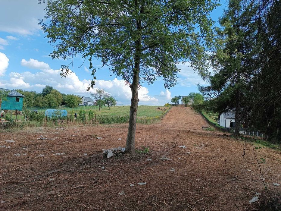 Mulczer Leśny Bijakowa Koszenie Trawy Ugorów Usługi Rolnicze OrkaRębak