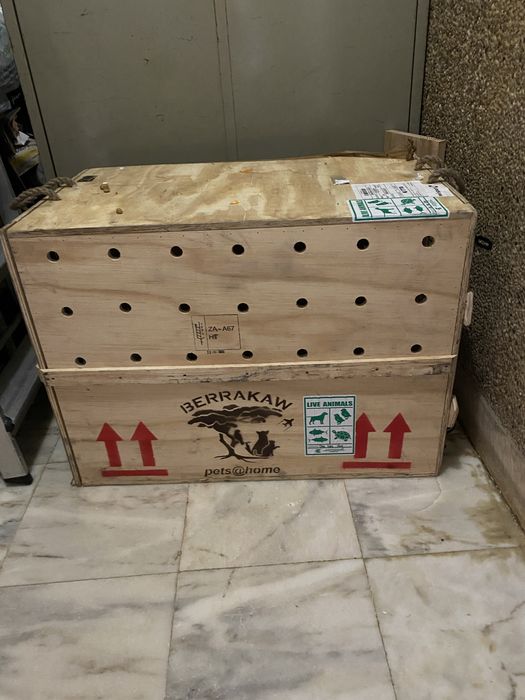 Caixa para transporte de cao ou gato