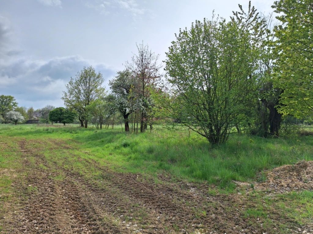 Działka budowlana - sprzedam, Suszki