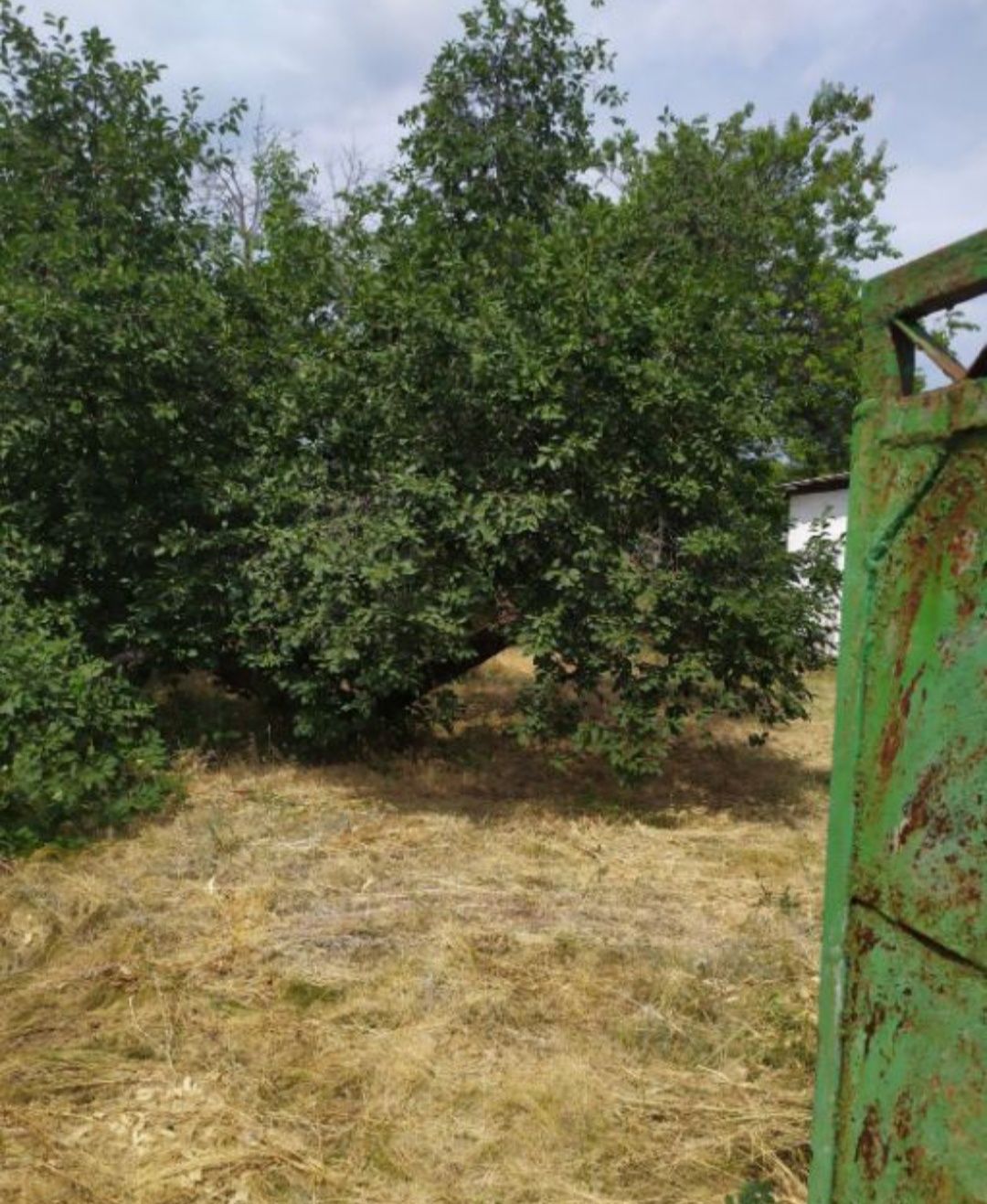 Продам дом в с.Омельченки