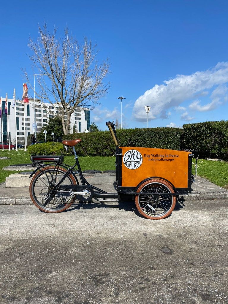 Cargo Bike Eléctrica