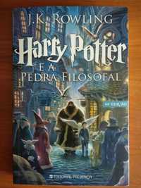 Harry Potter e a pedra filosofal - J. K. Rowling - novo