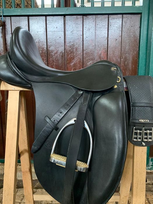Arreio dressage lexhis