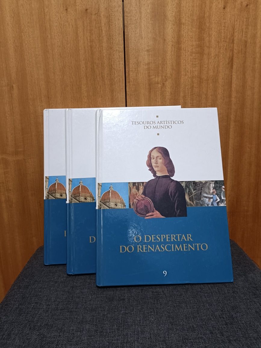 Livro O despertar do renascimento