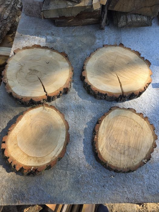 Plastry drewniane dębowe