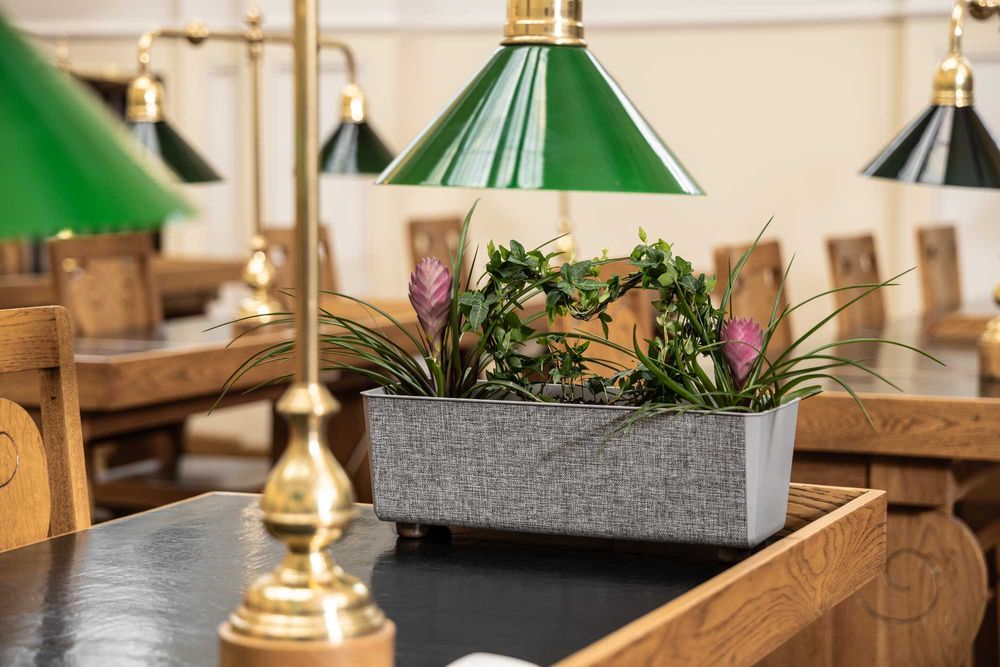 Skrzynka SAGA 28,5 x 17 cm textil kolor taupe