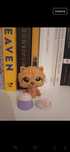 lps chow chow piesek #1157