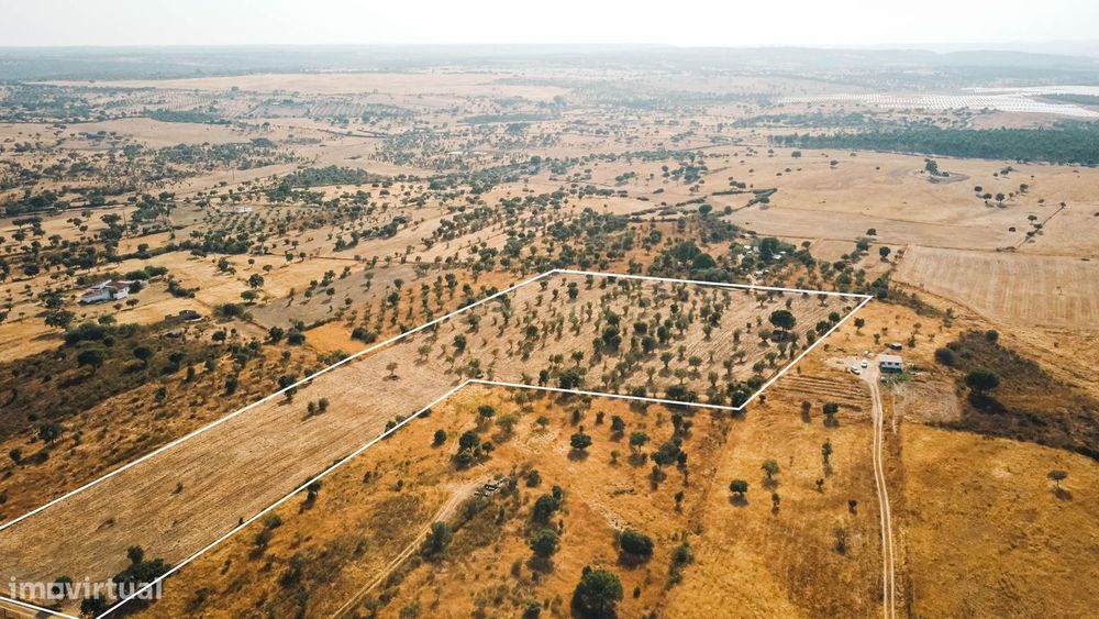 Propriedade rústica com potencial agrícola e turístico - 3,1200 hectar