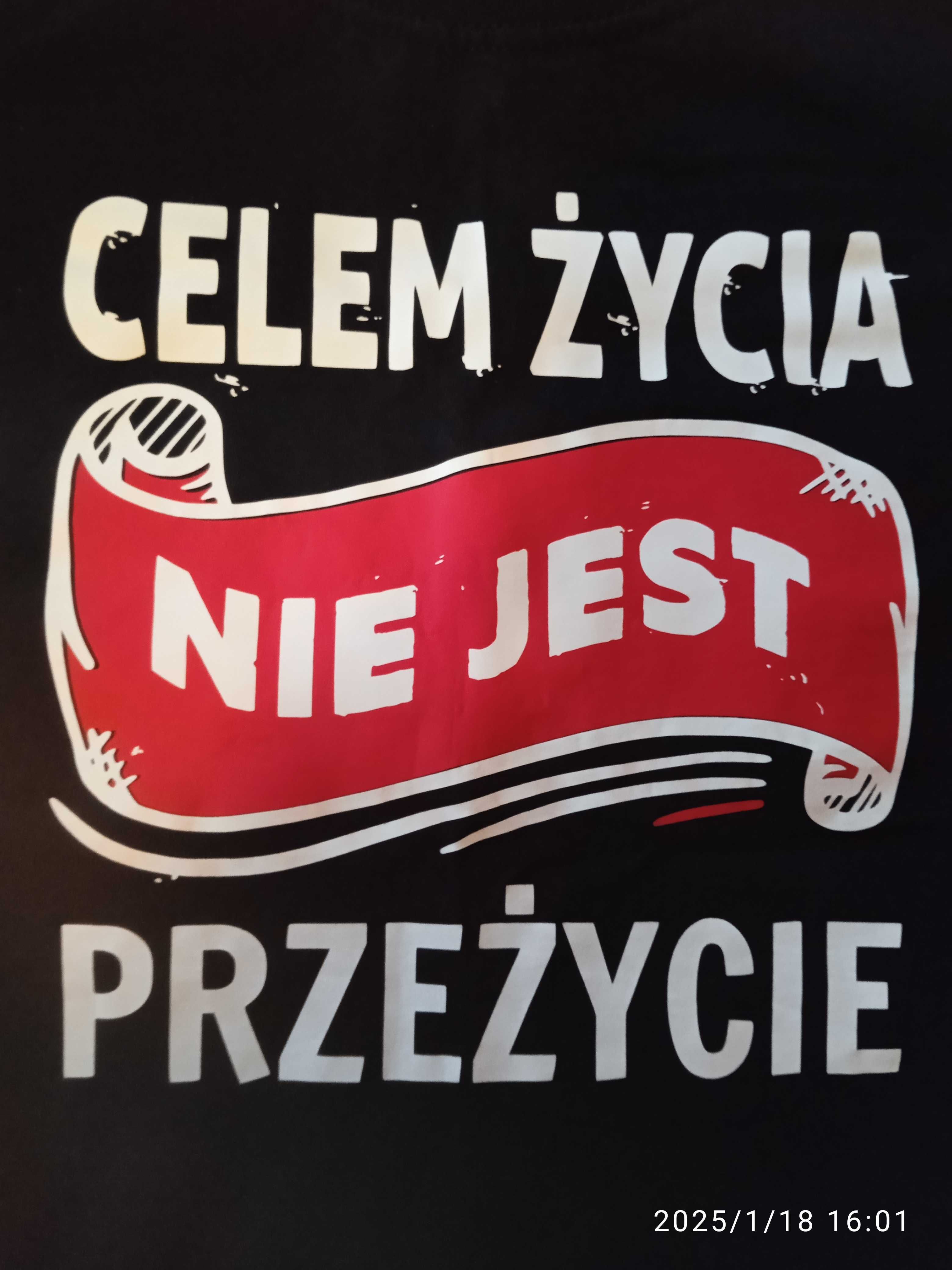 Czarna bawełniana koszulka / t-shirt Fruit of the Loom, rozm. L/40