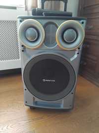 Głośnik karaoke z mikrofonem power audio boombox manta SPK5003