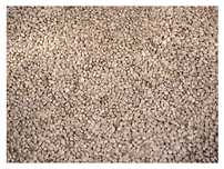 5kg Sorgo białe DARI karma pasza dla ptaków papug średnich i dużych