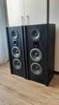 Duże kolumny stereo Schneider głośniki westra tonsil