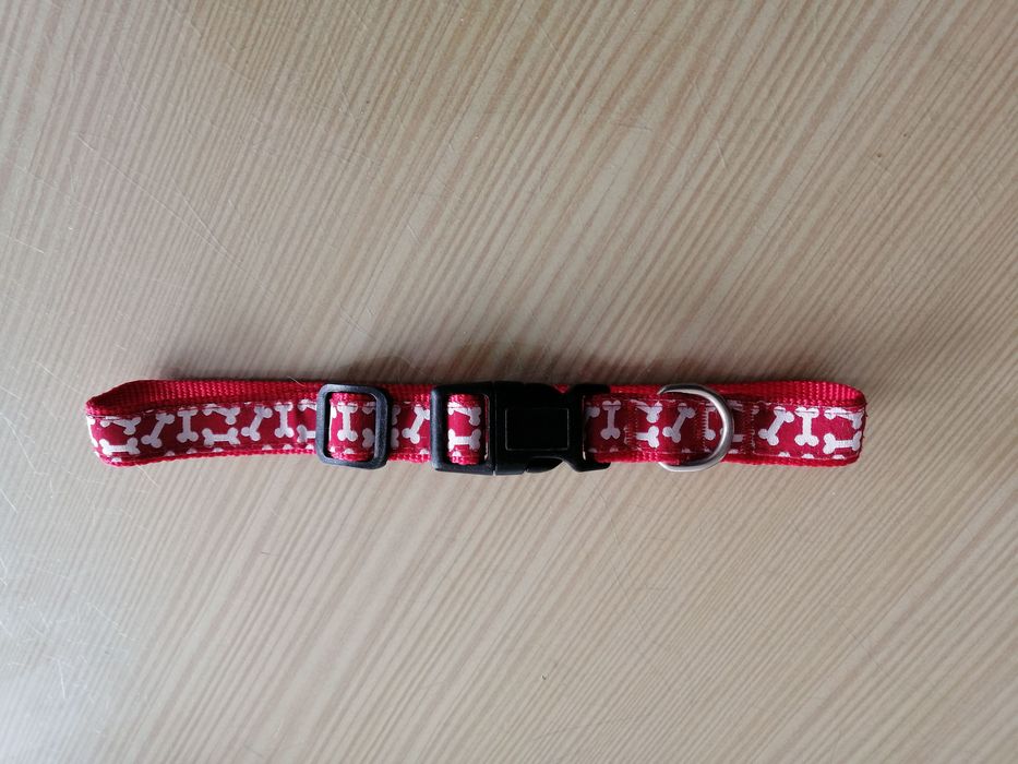 trela e coleira para cão de pequeno a médio porte