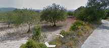 Terreno Rustico perto de Loulé , com bom acesso - 4100 m2