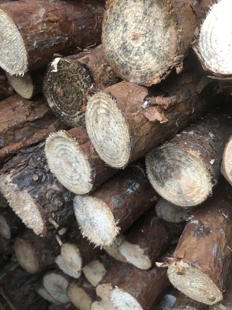 Drewno suche Sprzedam gałęziówka  z drewna liściastego + transport