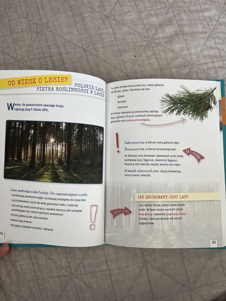 Przyroda w szkole podstawowej