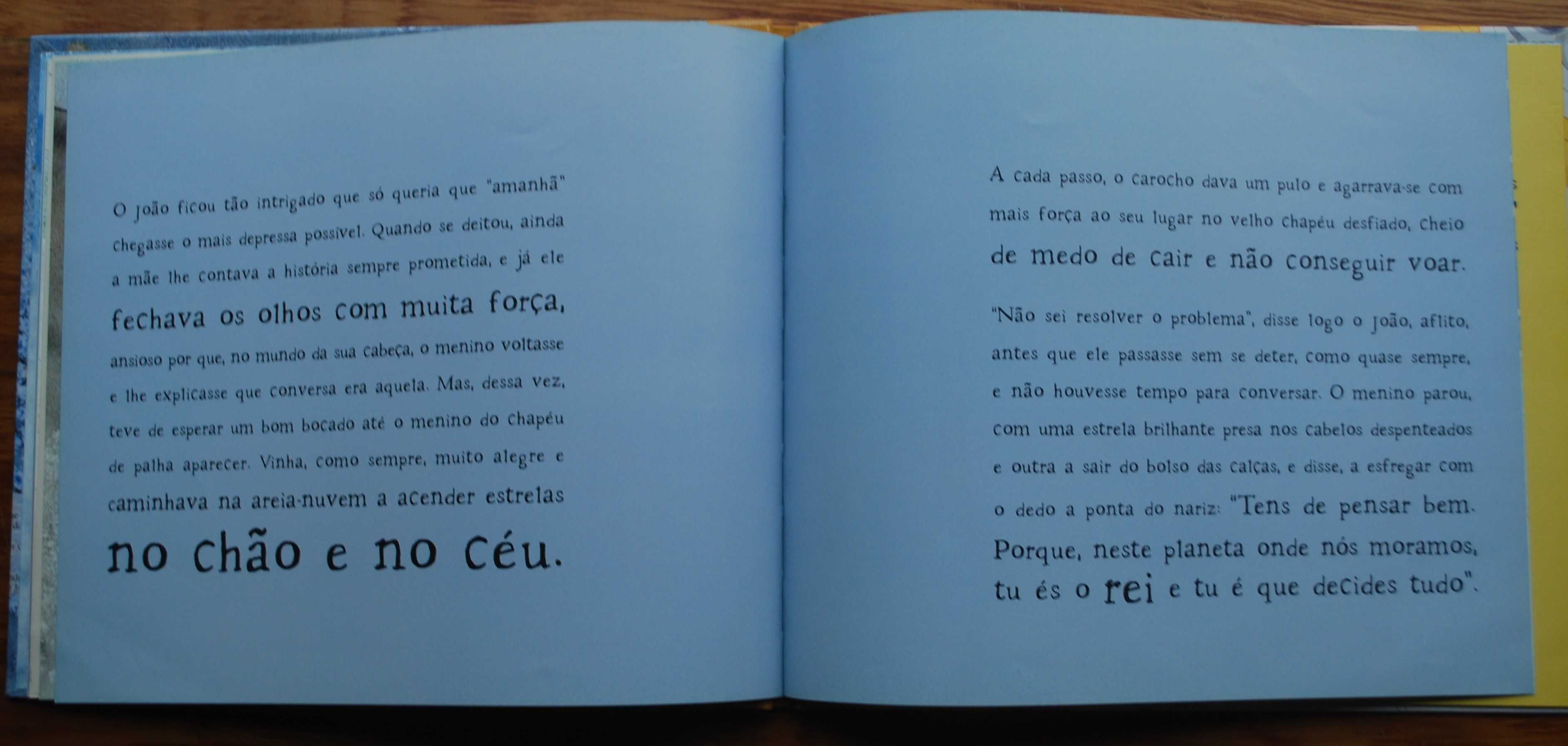 O Carocho-Pirilampo Que Tinha Medo de Voar de Mafalda Veiga