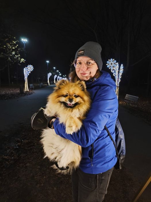 Wyprowadzanie psów, opieka nad zwierzakami