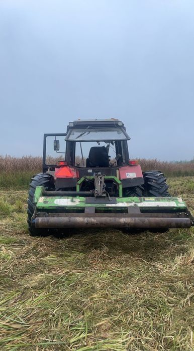 Czyszczenie działek, wycinka drzew,itp…