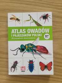 Atlas owadów i pajęczaków polski