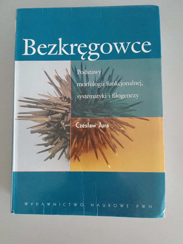 Czesław Jura Bezkregowce 2004 stan b. dobry