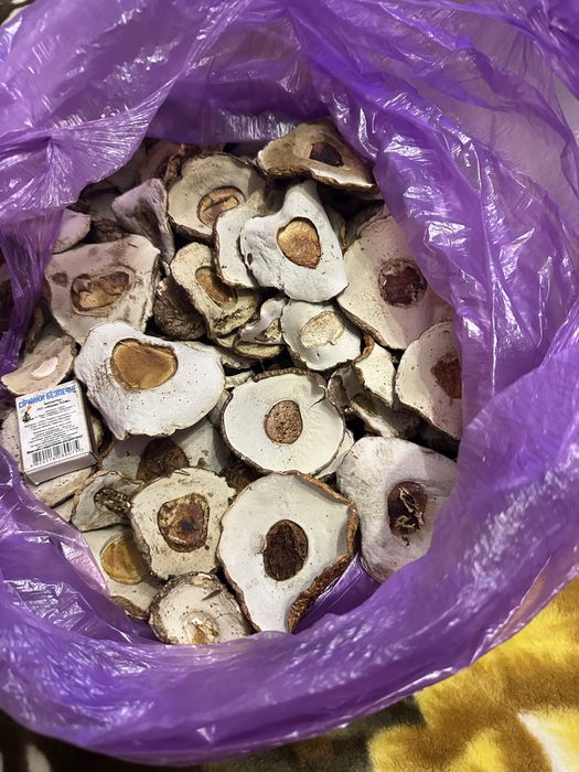 Шапка білого гриба