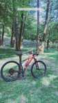 Cannondale Trail SL 3 2022