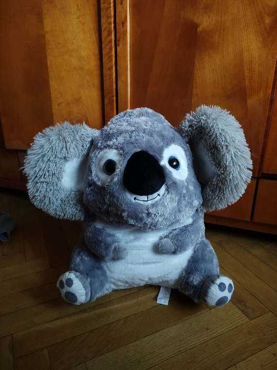 Pluszak Koala Licytacja dla Samuelka