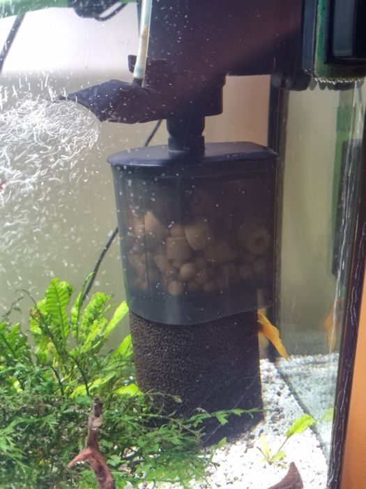 Akwarium 100 l - pełne wyposażenie