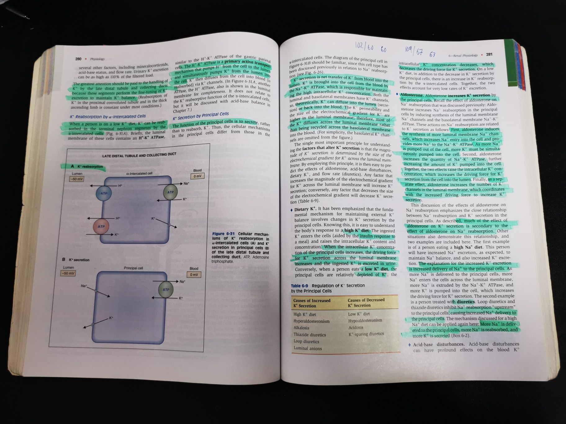 Physiology Linda S. Costanzo 4th edition