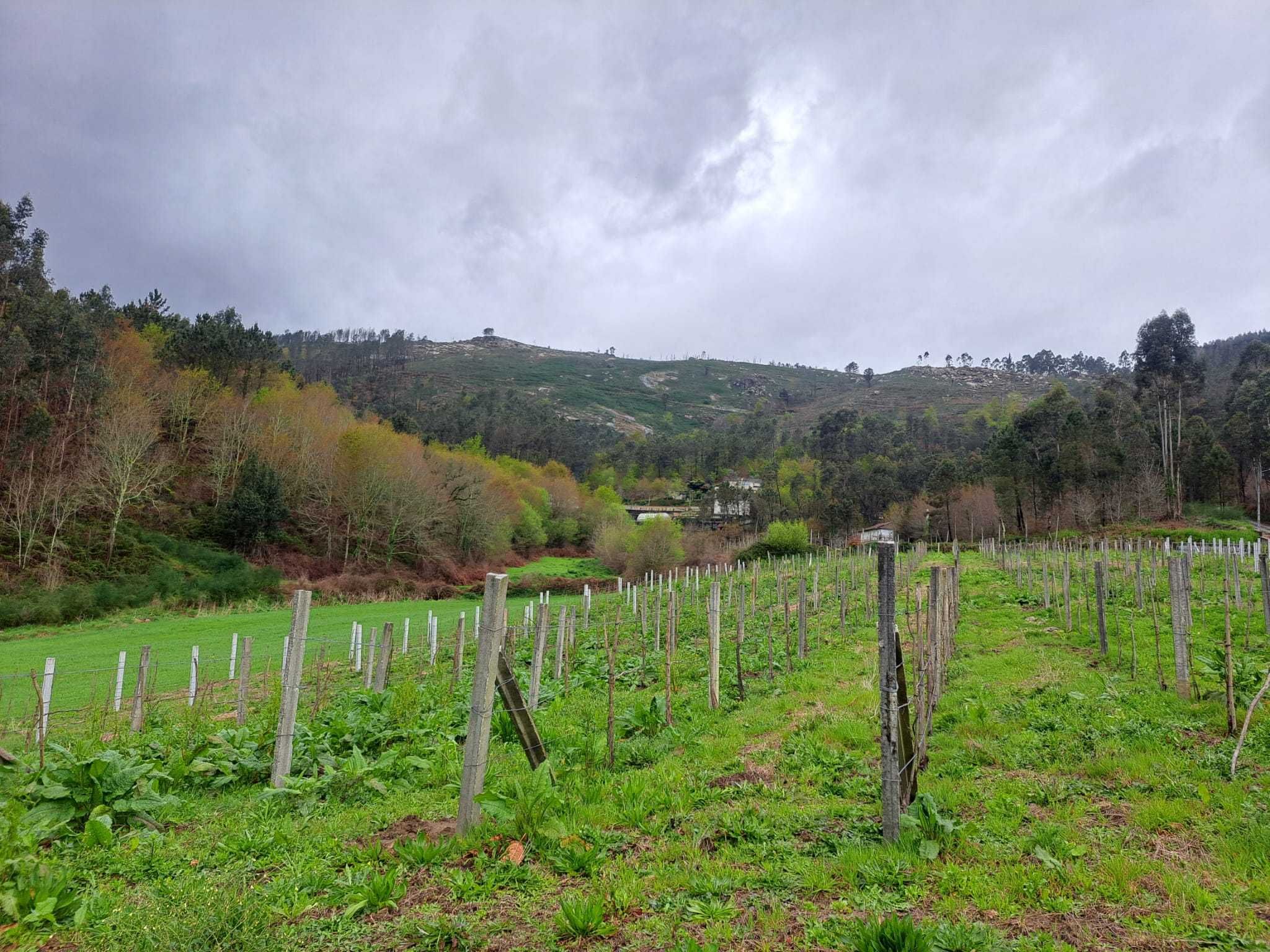 Vende-se quinta rústica em Vila Verde com 2 casas + anexos