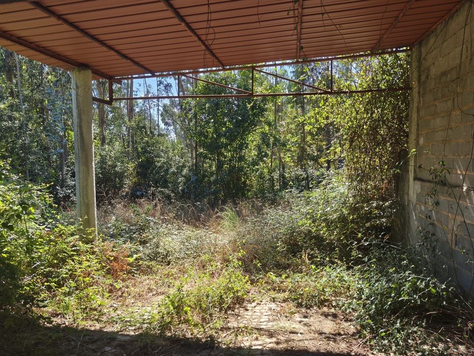 Vendo terreno c/pavilhao