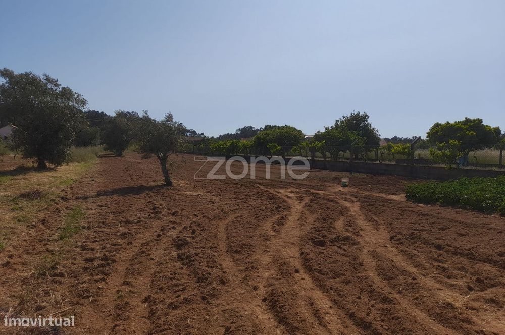 Terreno Rustico
